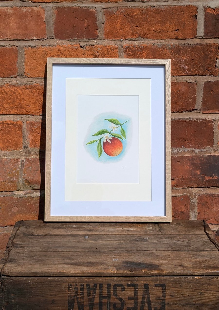 Framed orange blossom print 