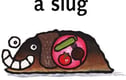 Buglife
