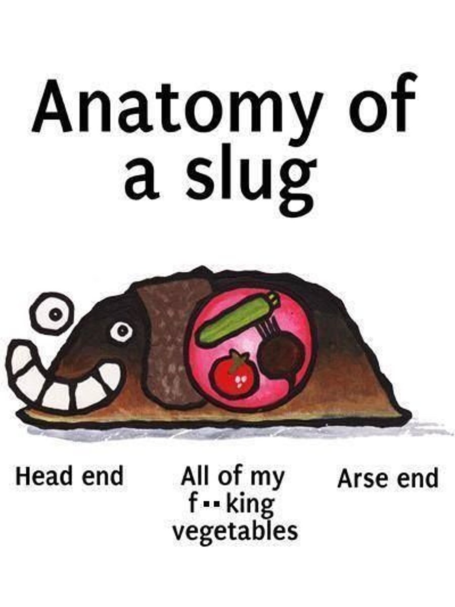 Anatomy Of A Slug A Gardeners Enemy Funny Fridge Magnet