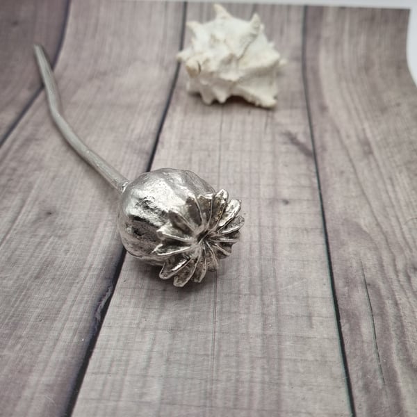 Real Poppy seed head preserved in silver, beautiful ornament 