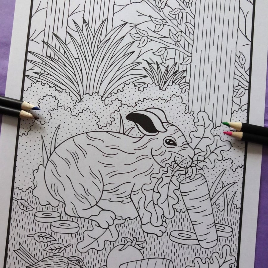 Rabbit Woodland Animal A4 Colouring Page Printable JPG by S Godwin Studio