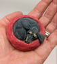 Yorkshire Pudding Dachshund  - Image 2