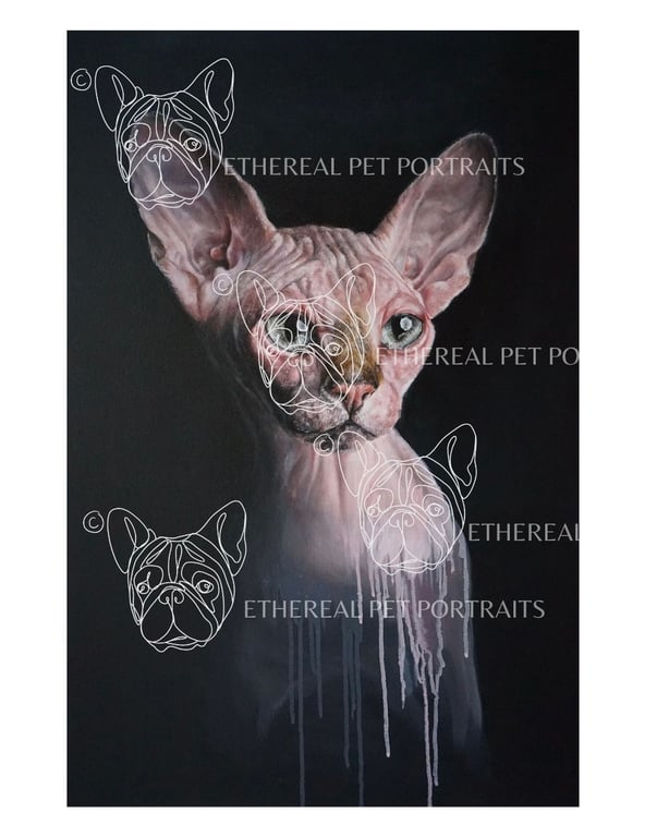 Sphinx Cat Giclée Print - Realistic & Abstract Acrylic Artwork - Cat Lover Gift