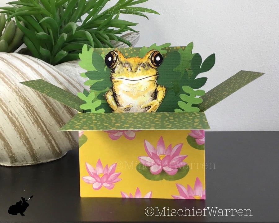 Frog 3D Box Card. Personalised, birthday, Mothers Day, Fathers Day, Easter.