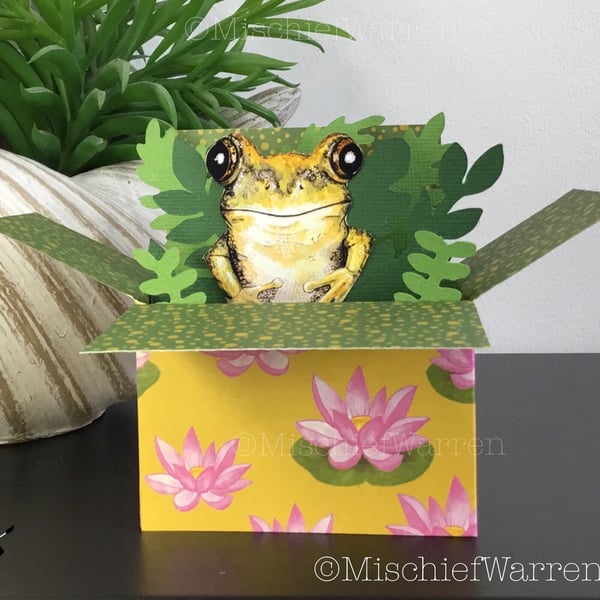 Frog 3D Box Card. Personalised, birthday, Mothers Day, Fathers Day, Easter.