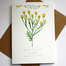 Tansy- British wildflower card
