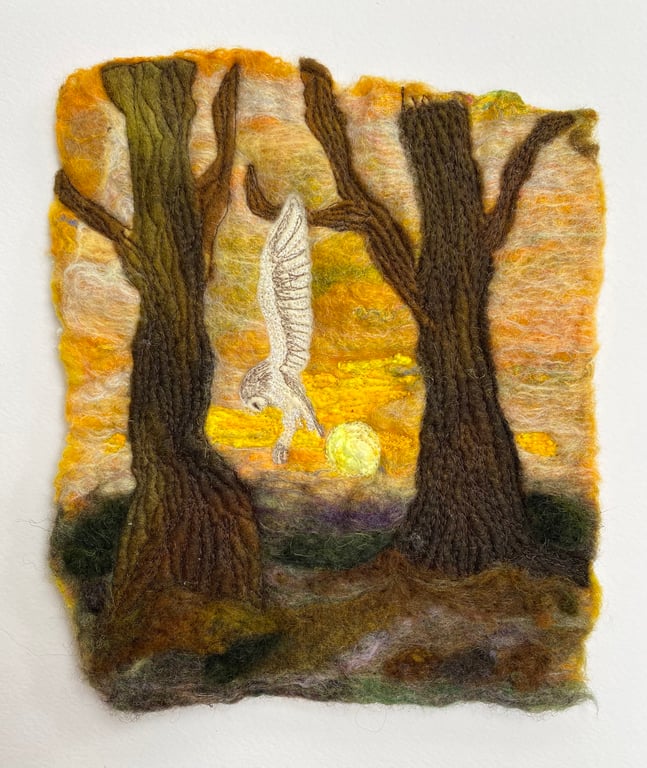 Barn Owl hunting against a sunset sky and trees. 