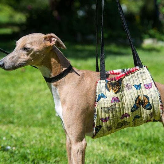 Dog walking support, lifting sling , leg support. 3 sizes
