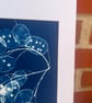 Seed Pods captured in Cyanotype, Gift for gardner, Original wall art. - Image 10