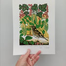 'Sharing our redcurrants with the Song Thrush' - linoprint
