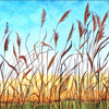 Summer Fen Reeds Field Landscape Greeting Card from Original Watercolour