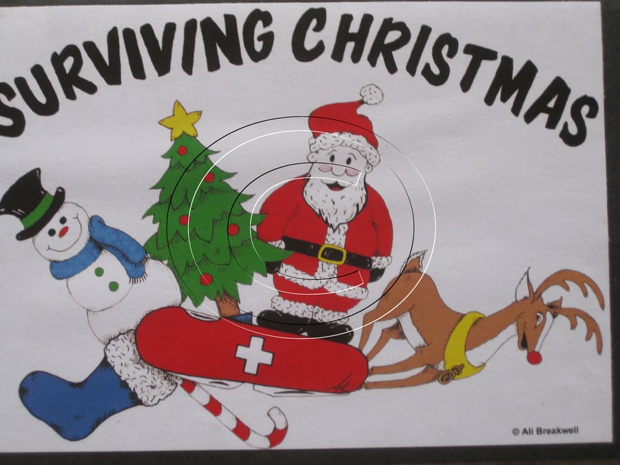 Surviving Christmas