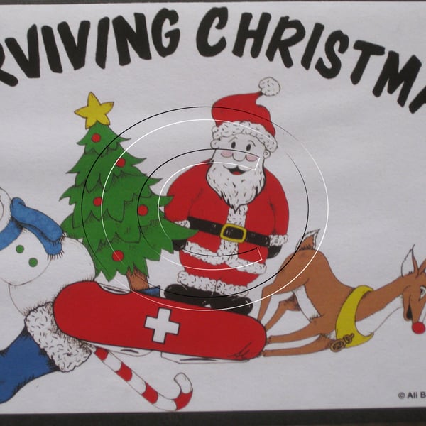 Surviving Christmas