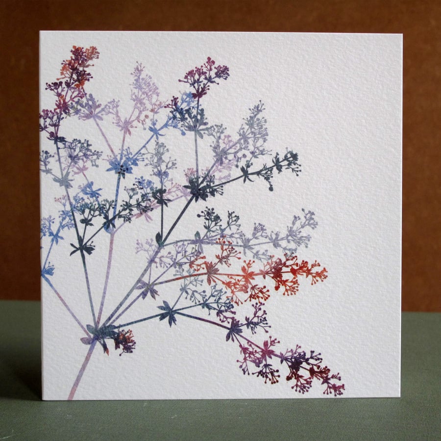 Blank Fine Art Card with Envelope