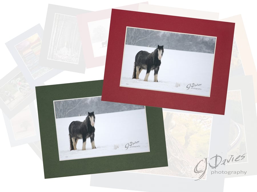 CJ120 - Christmas card: Pony in the snow