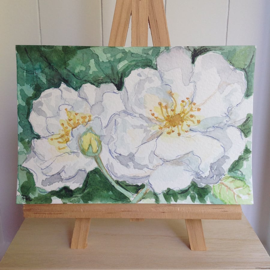 Original watercolour postcard 'White Roses'