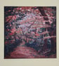 Autumn Woodlands, Dappled light through colurful leaves, seasonal landscape  - Image 7