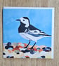 Bird On The Beach Greeting Card 6x6 Inch