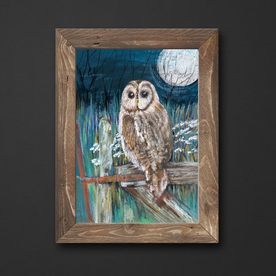 Owl Art Print - Tawny owl bird art print