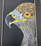 Original eagle painting 5x7" wildlife artwork  - Image 7