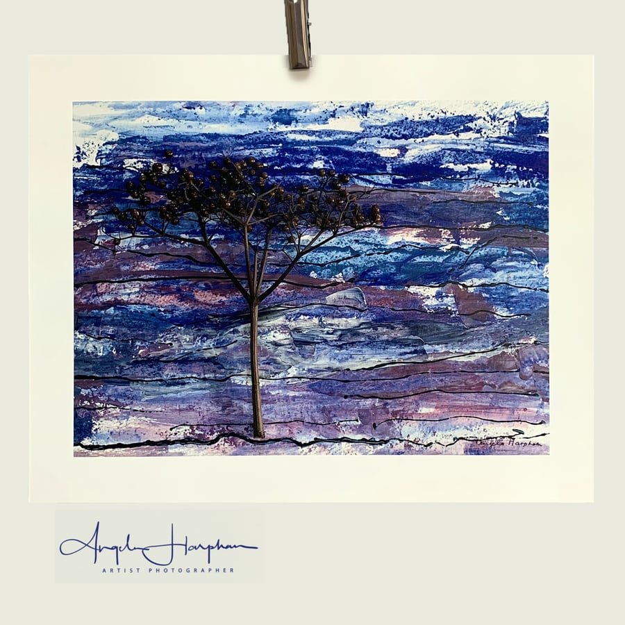 A Digital Print of Original Acrylic Painting Sky with 'Elderberry Tree'