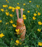 Hare today gone tomorrow.