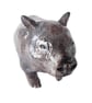 Wombat Ceramic Sculpture - Hand Built
