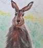 Woodland rabbit suttle background  - Image 4