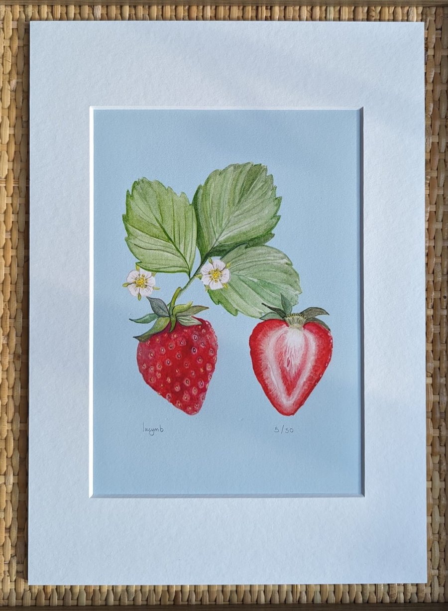 Limited edition strawberry mounted print