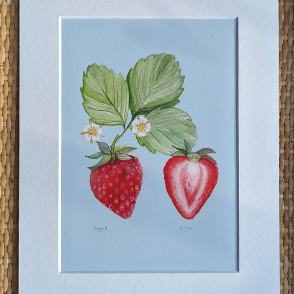 Limited edition strawberry mounted print