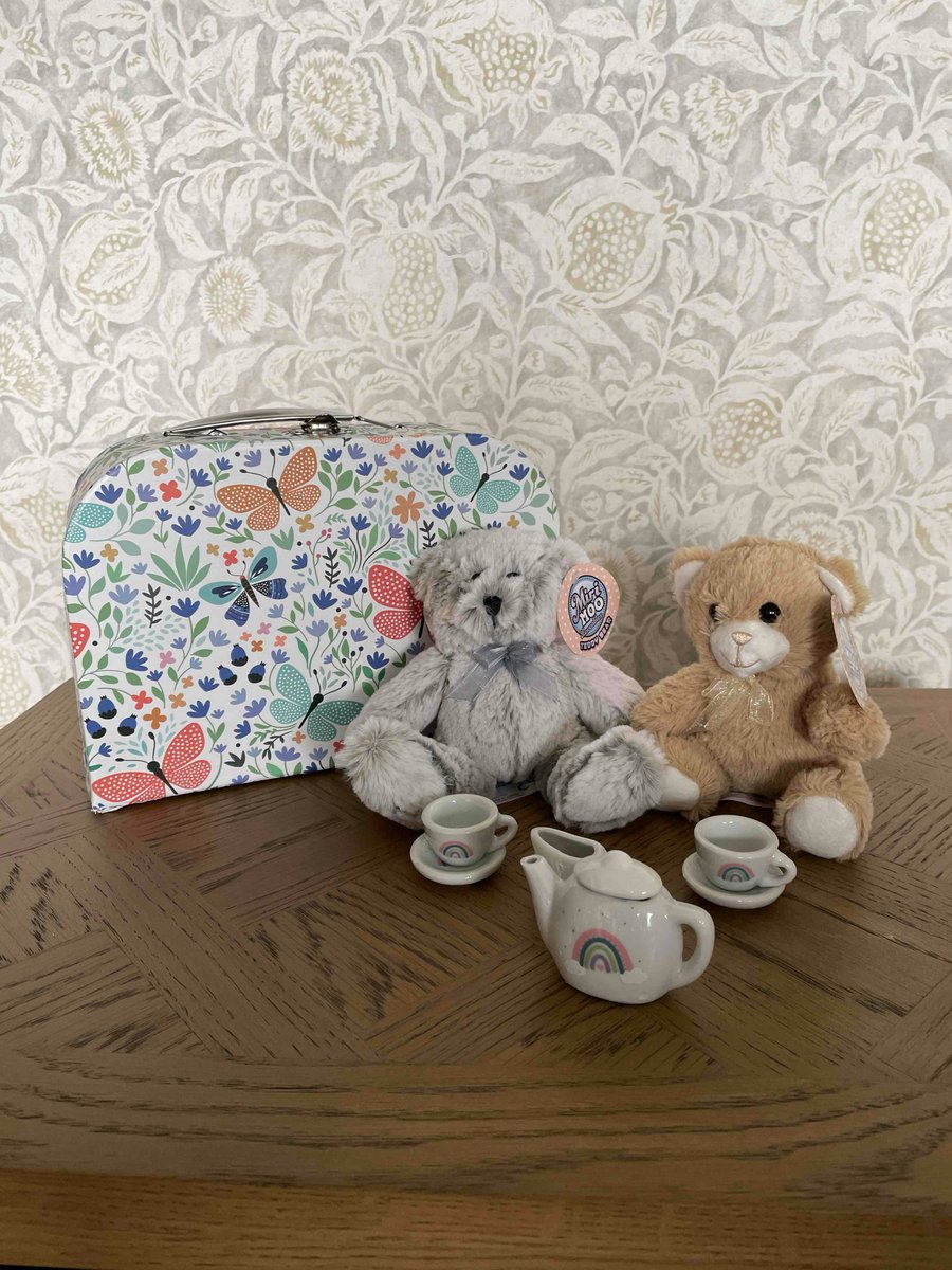 Teddy Bear’s Picnic in a Suitcase