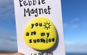 Pebble Magnets