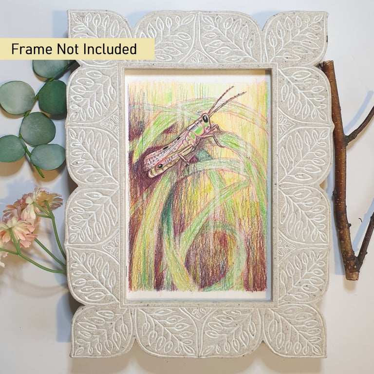 Grasshopper original artwork, letterbox art gift