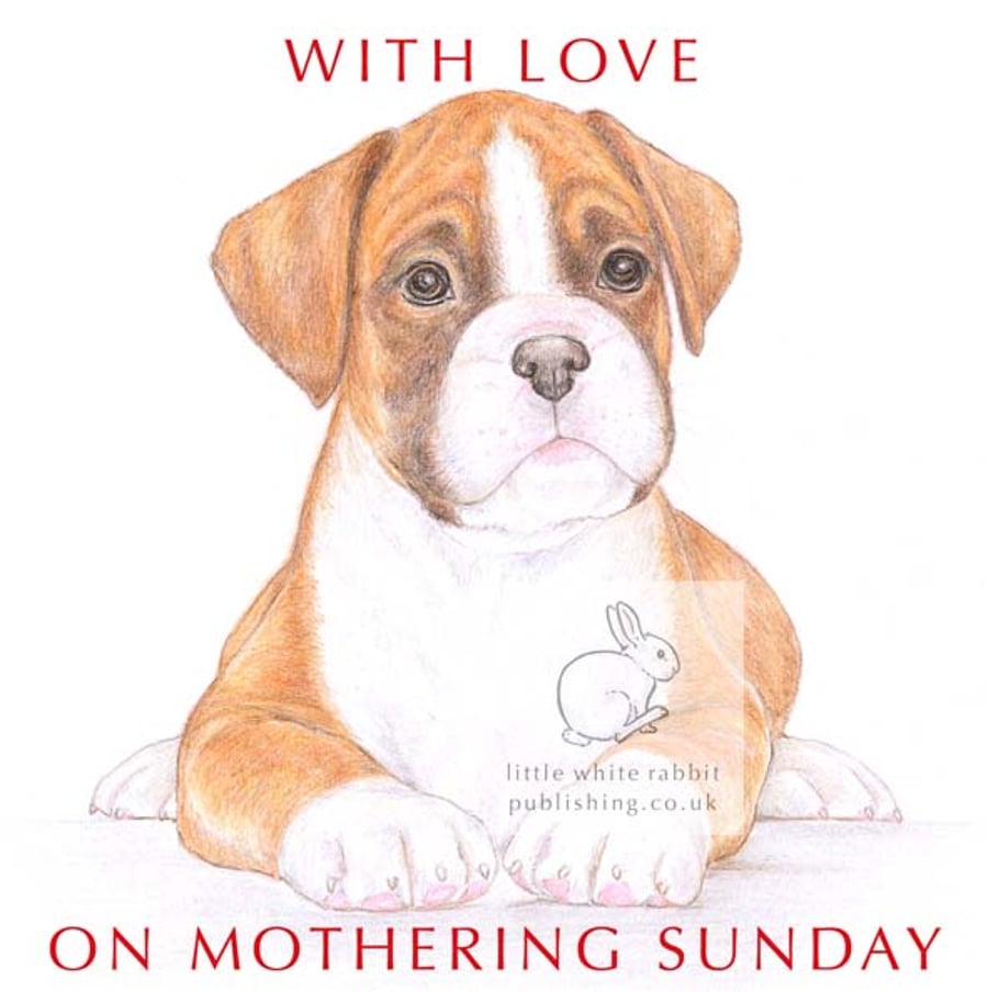 Jake the Boxer - Mother's Day Card