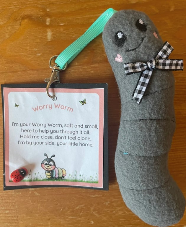 Homemade  Worry Worms send asd, semh , communication aid 