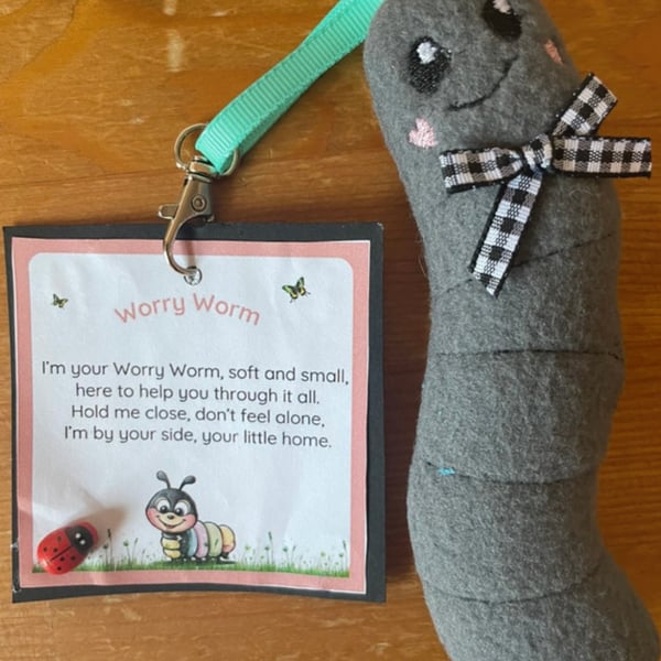 Homemade  Worry Worms send asd, semh , communication aid 