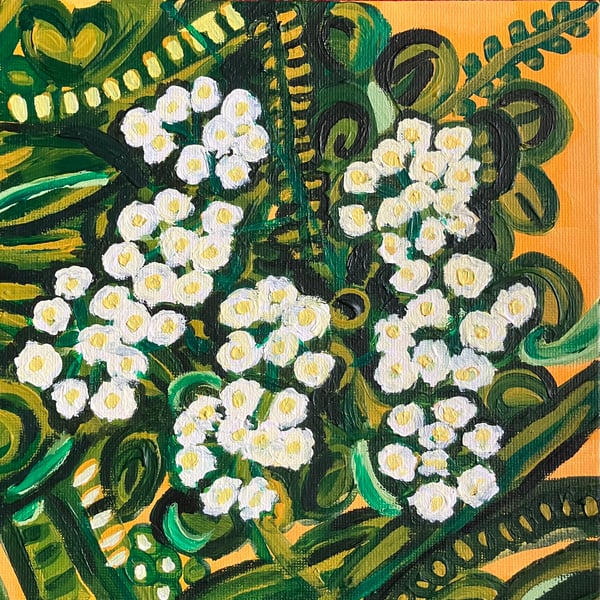 Pimpinella flower painting 