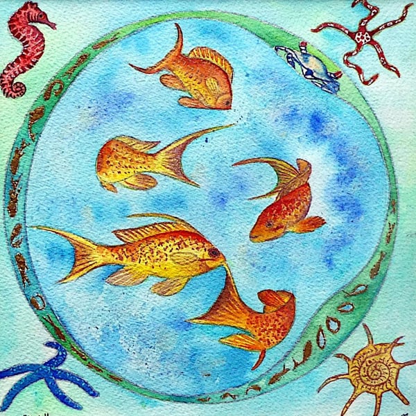 Lyretail Anthias Fish