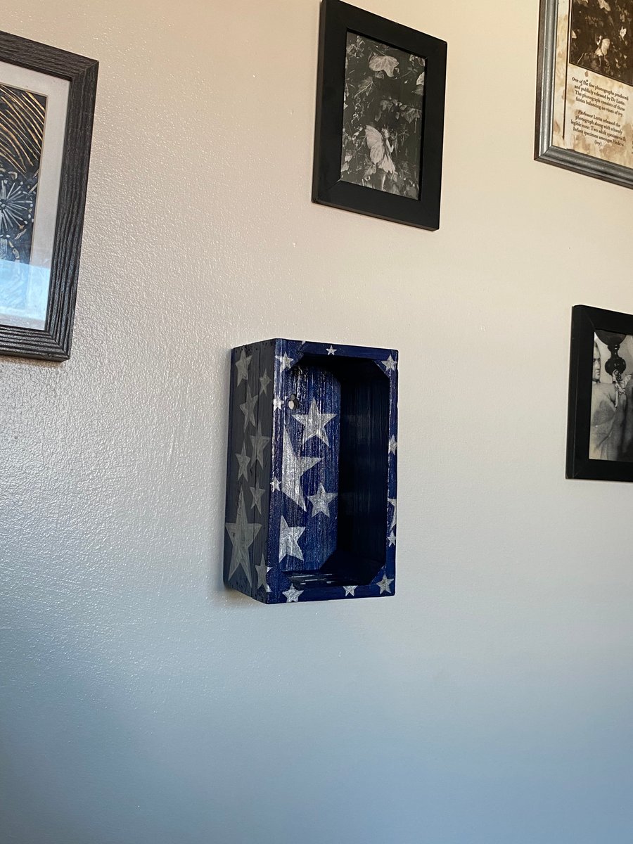 Coraline Themed Wall Box Shelf 