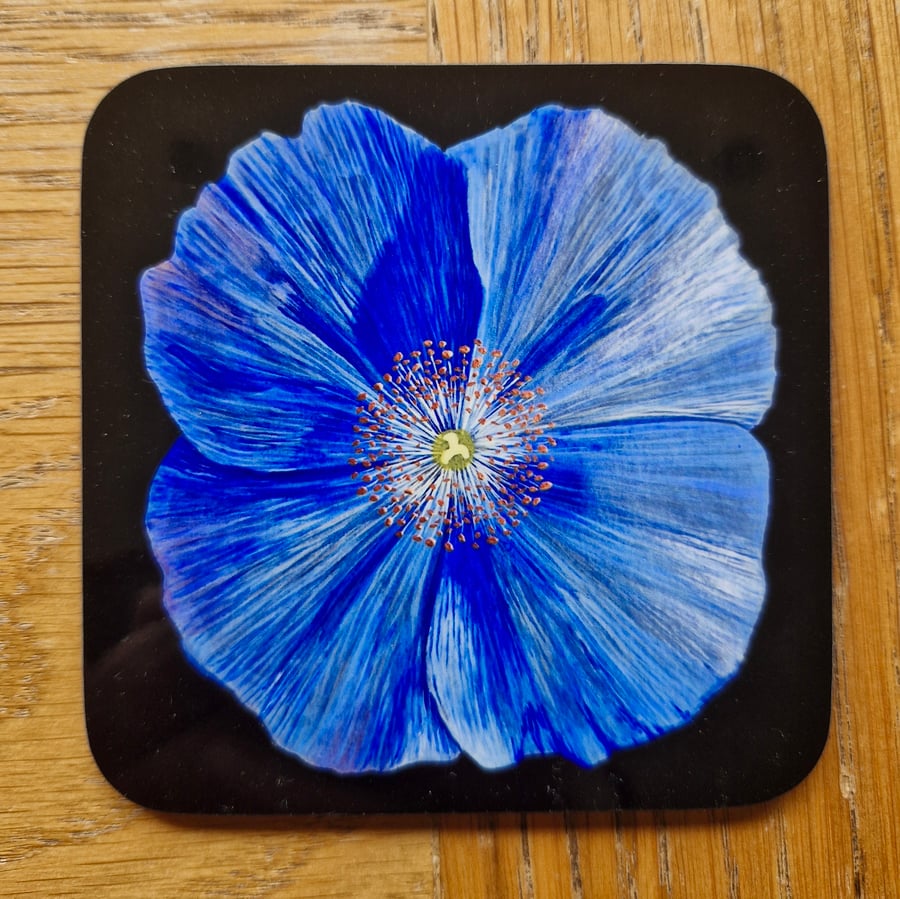 Mecanopsis Coaster