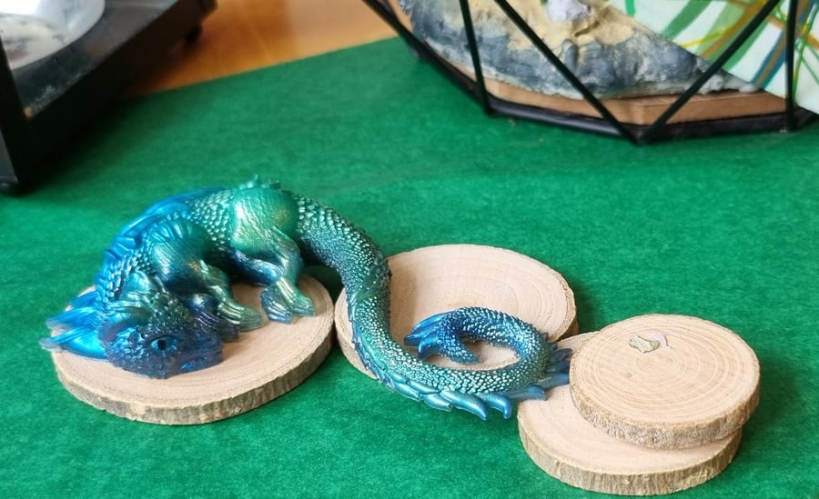 Serpent dragon 'Siren' (1st hatchlings)