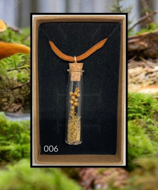 Forest curio jar necklace