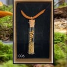 Forest curio jar necklace