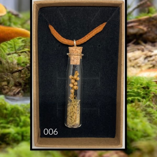 Forest curio jar necklace