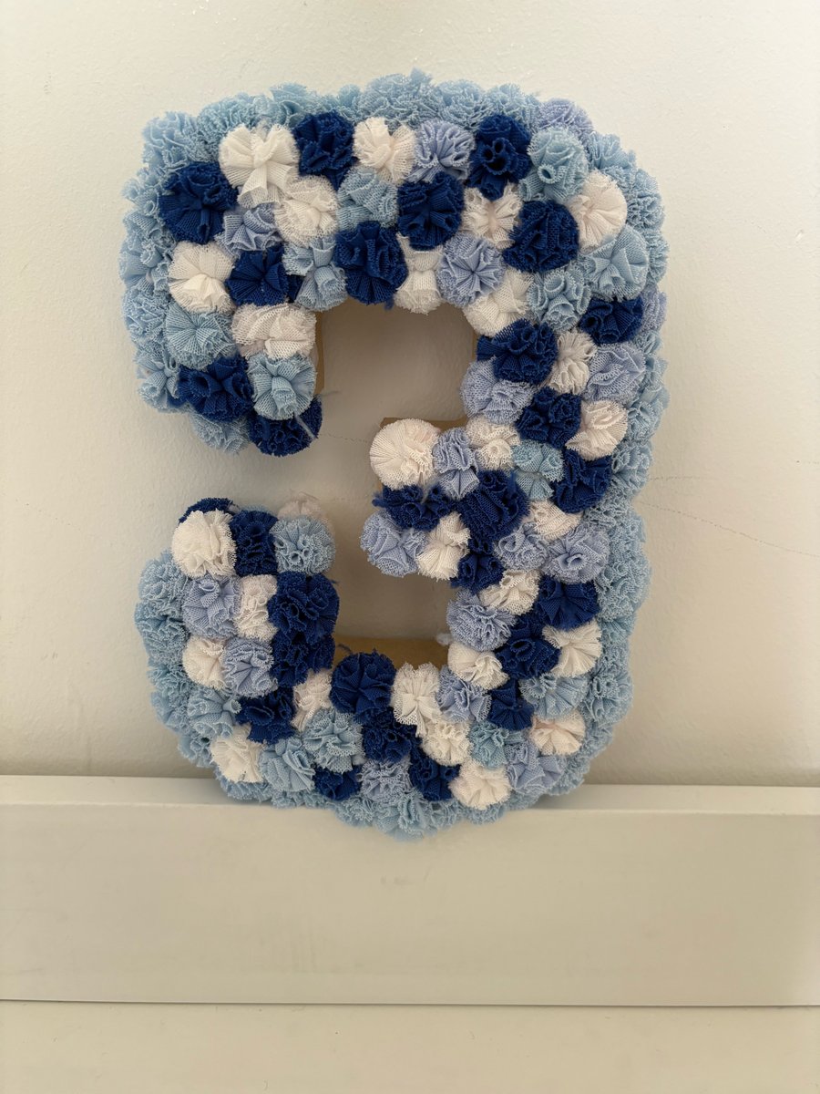 Number 3 scrunchy Pom Pom number. 