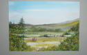 Landscapes