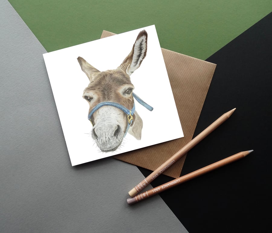 Fine Art Greeting Card - Donkey