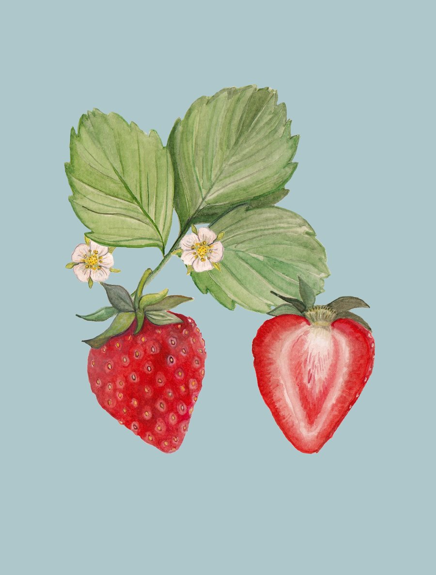 Framed strawberry print 