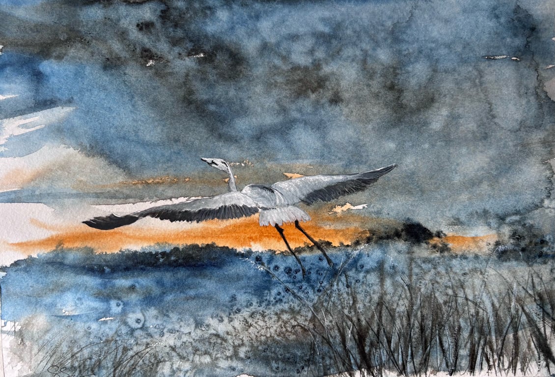 A Storm on the horizon 