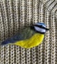 Brooch needle felted blue tit